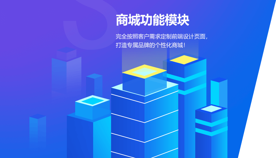 上海商城网站开发